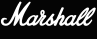Marshall and Vox amplification